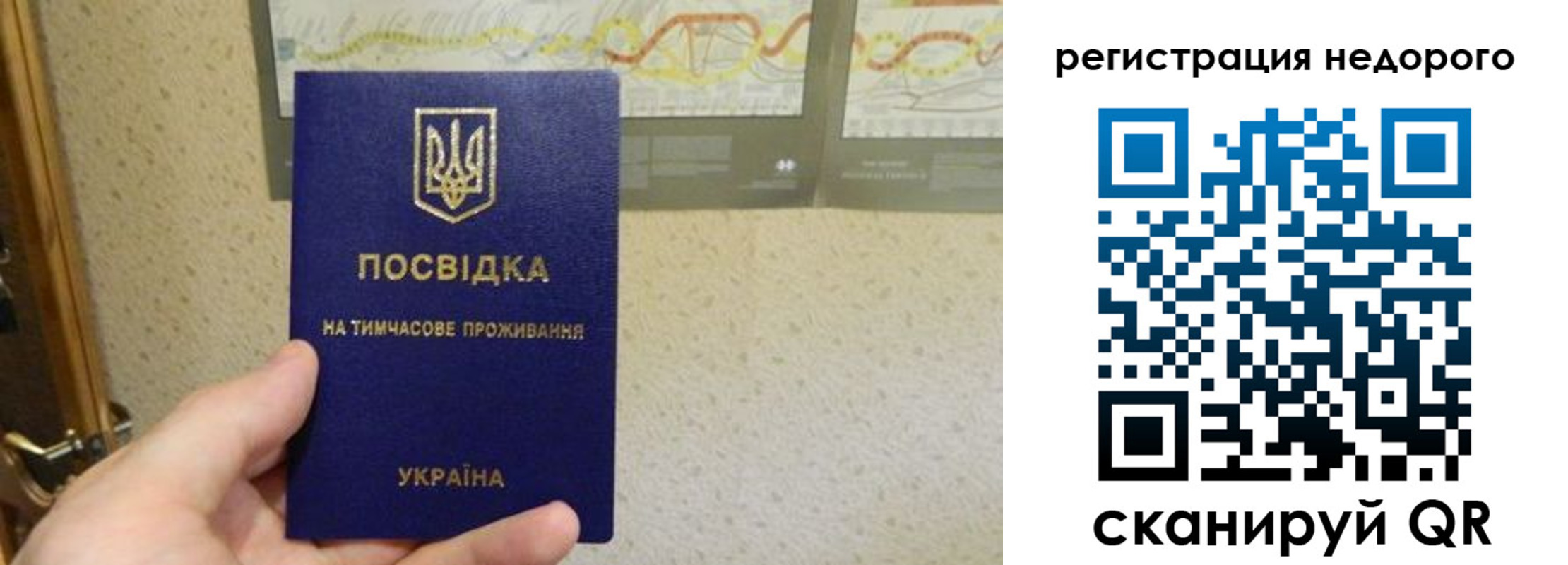 прописка для работы в Марий Эл
